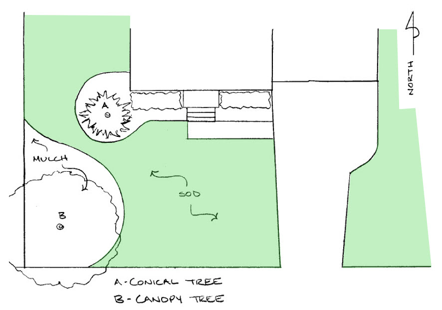 How to Lay Sod Around Trees Sod Laying Tips